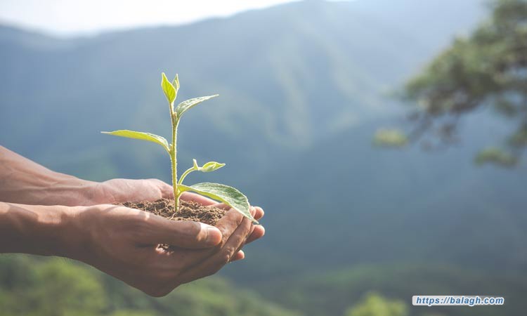 كيف يساهم الفرد في تحقيق التنمية المستدامة؟